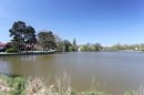 Etang des Forges